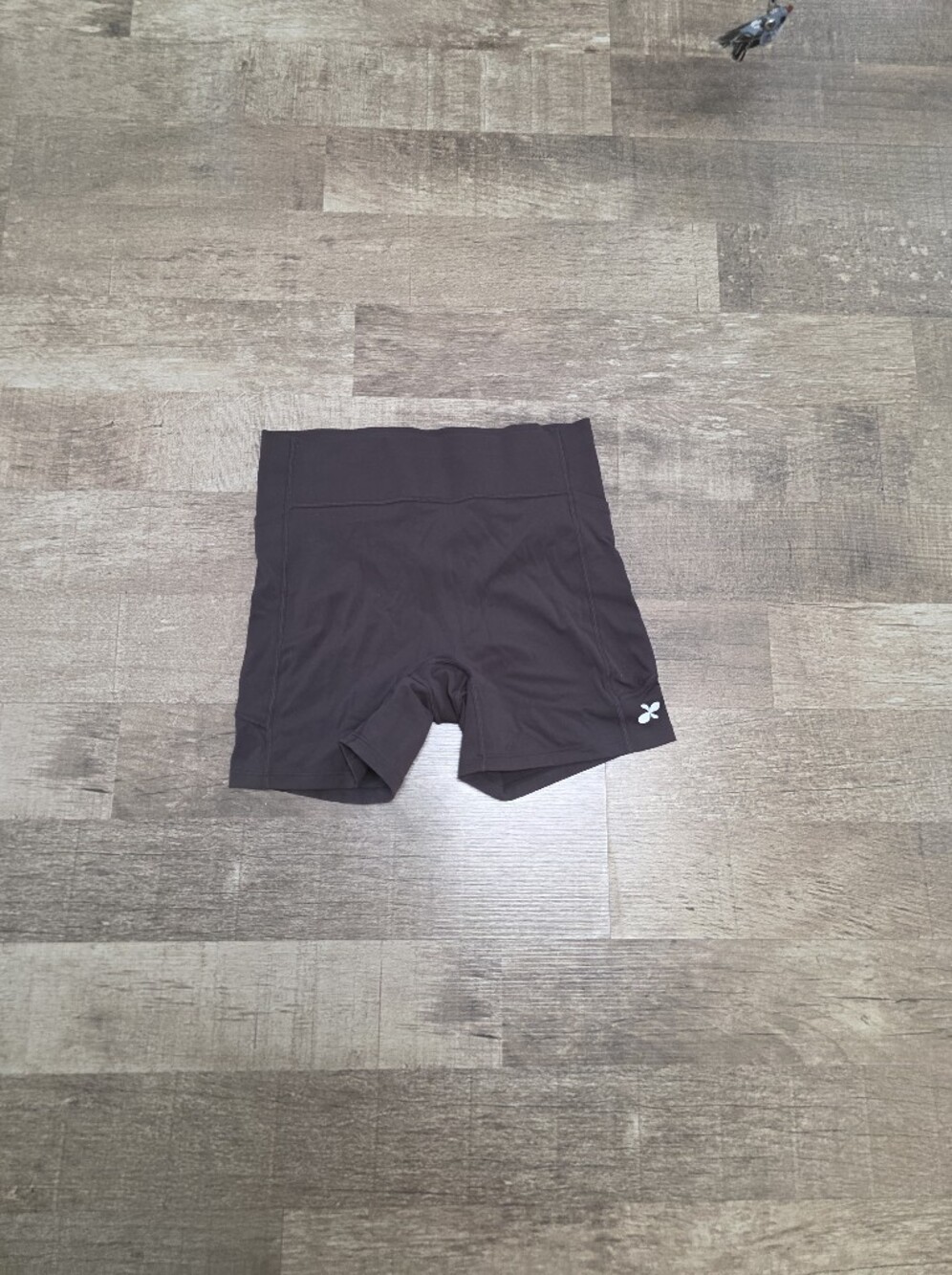 Aesene Training Shorts Brown